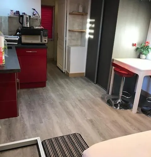 Studio Moovy Proche Stade Groupama, Lcld Arena , Eurexpo Lyon